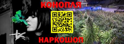 шишки Коммунар