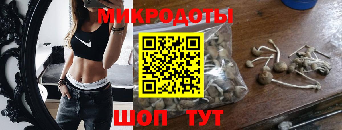Псилоцибиновые грибы Psilocybine cubensis Калуга
